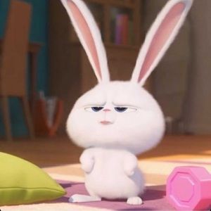 Meet your Posher, Han